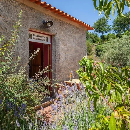 Εξοχικό σπίτι Casa Do Eido - Sustainable Living & Nature Experiences Geres